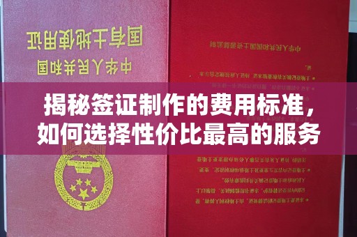 海拉尔揭秘签证制作的费用标准，如何选择性价比最高的服务？