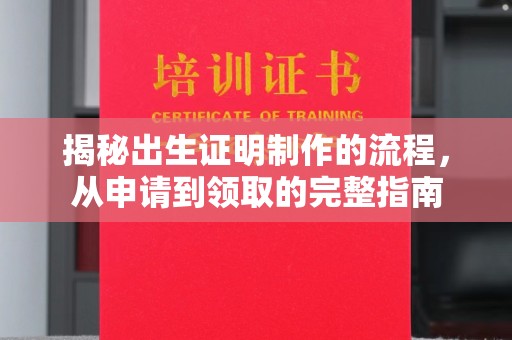 海拉尔揭秘出生证明制作的流程，从申请到领取的完整指南